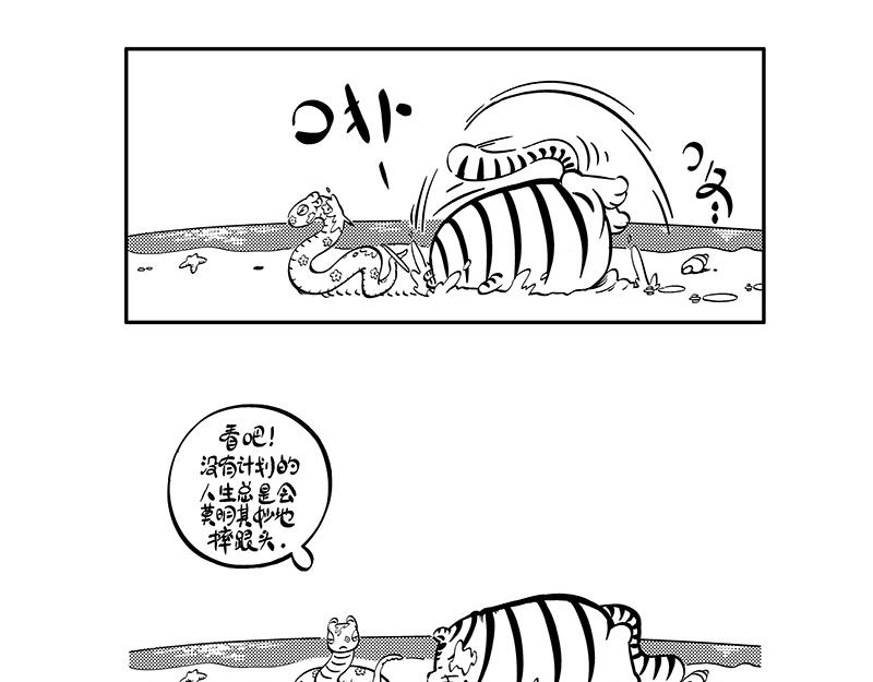 计划与梦想-第15话