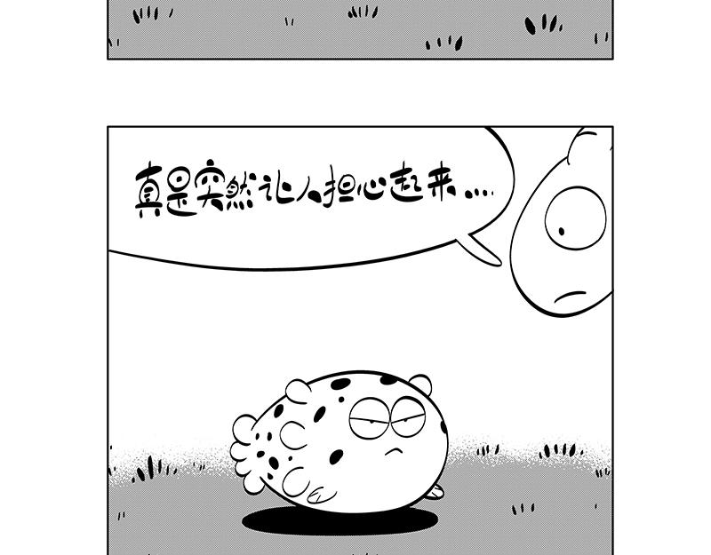 怒宝不正常-第41话