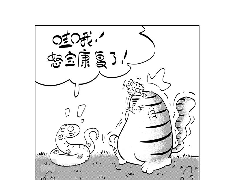 怒宝不正常-第41话