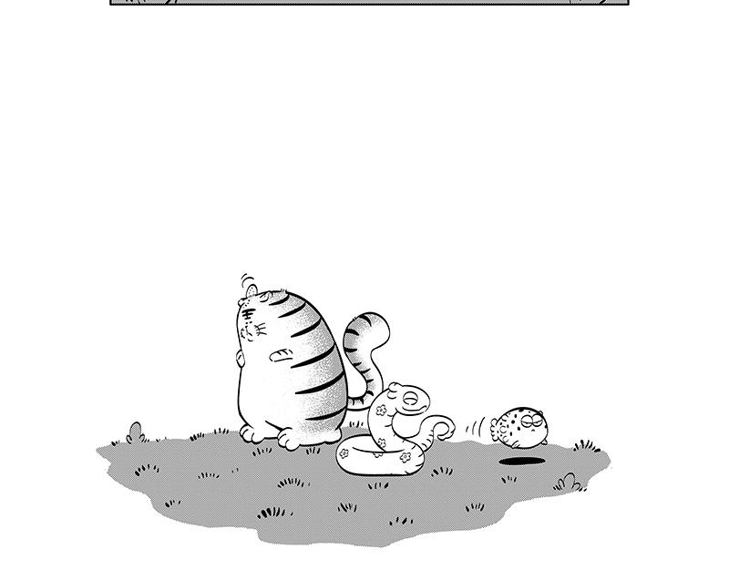 怒宝不正常-第41话