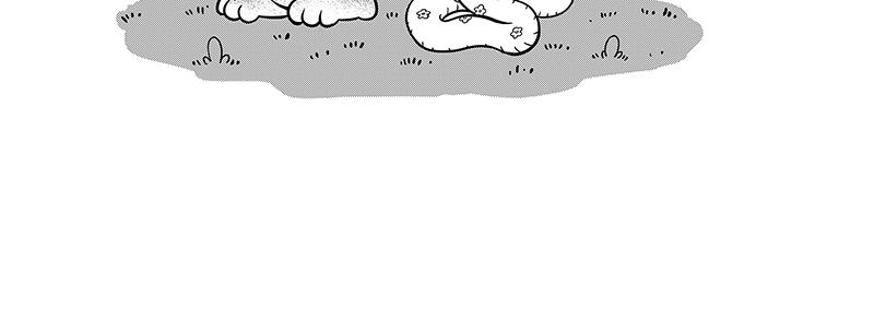 怒宝不正常-第41话