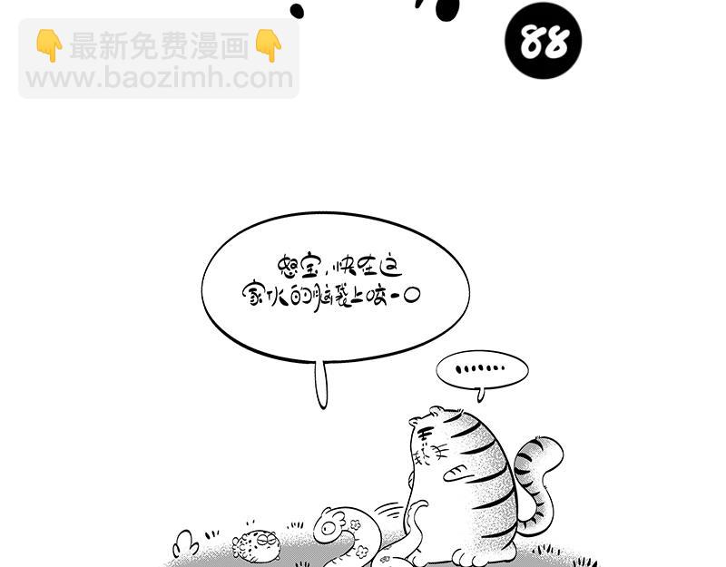 怒宝不正常-第41话