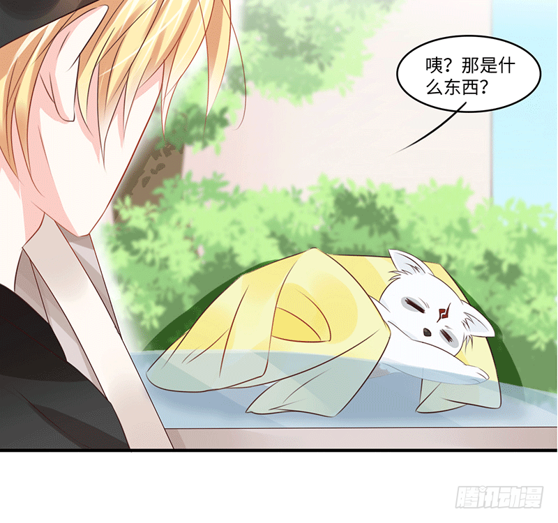 把你的身体留给我(1/4)-第1话