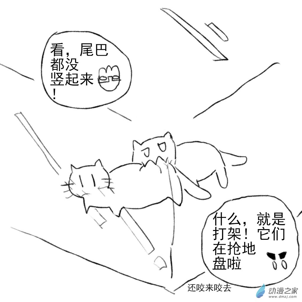 16 猫猫的争执-第29话