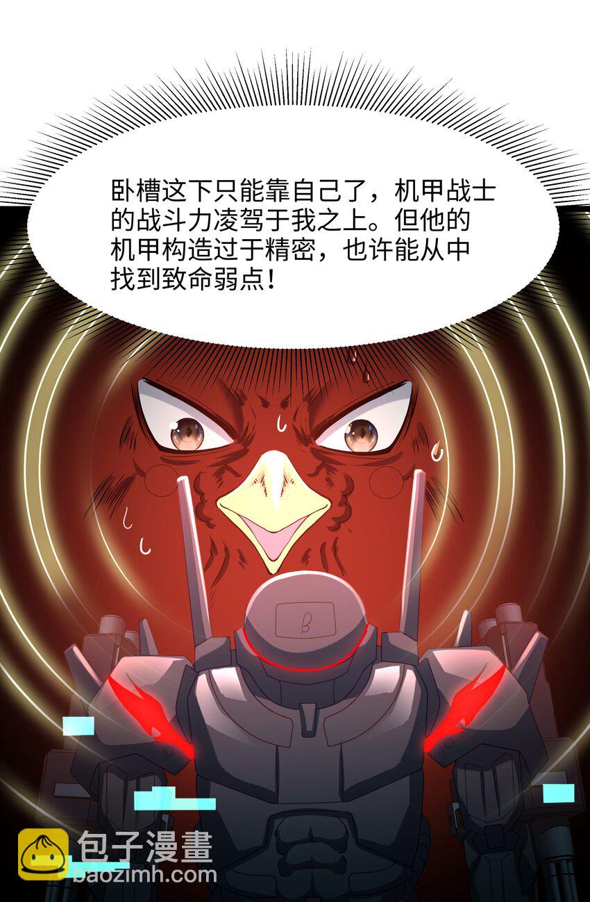 060 最强战斗鸡-第61话