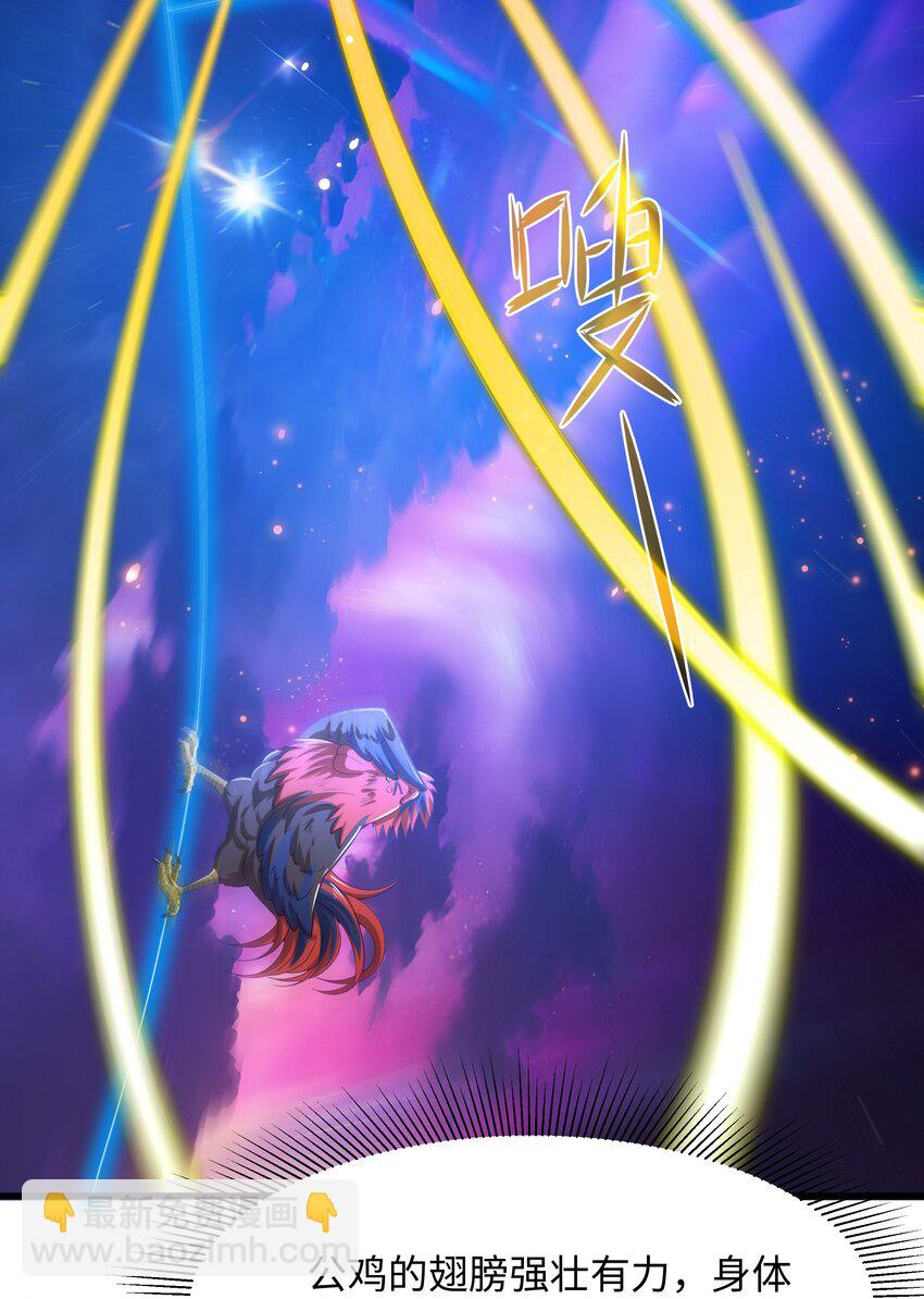 060 最强战斗鸡-第61话