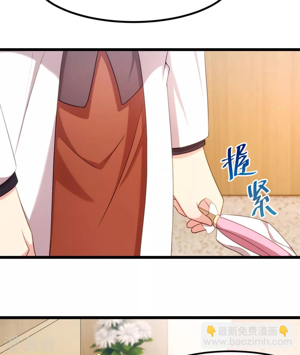 賀少的閃婚暖妻 - 第249話 小寶要失寵？ - 5