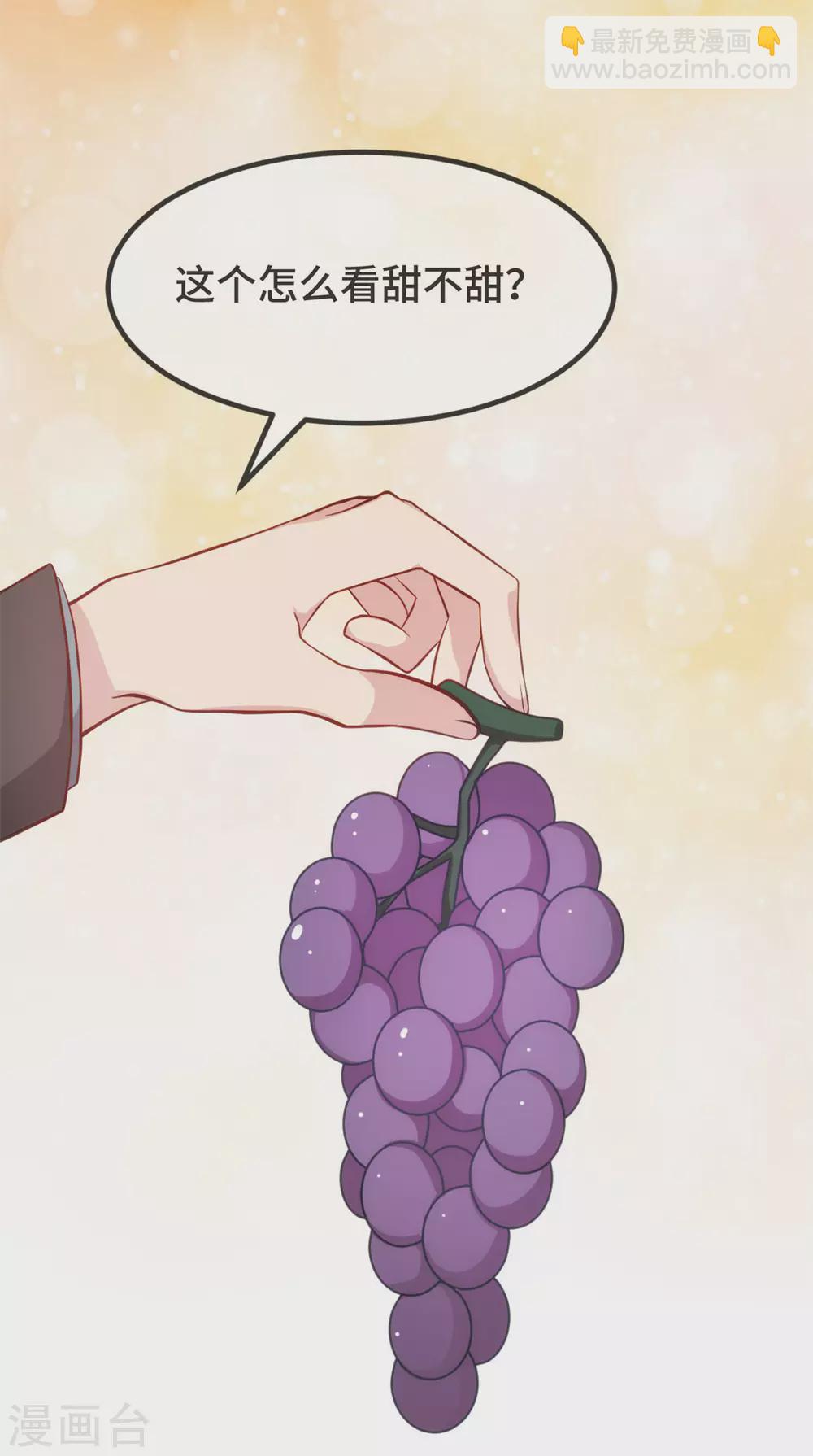 賀少的閃婚暖妻 - 第335話 秦以悅崩潰了 - 3