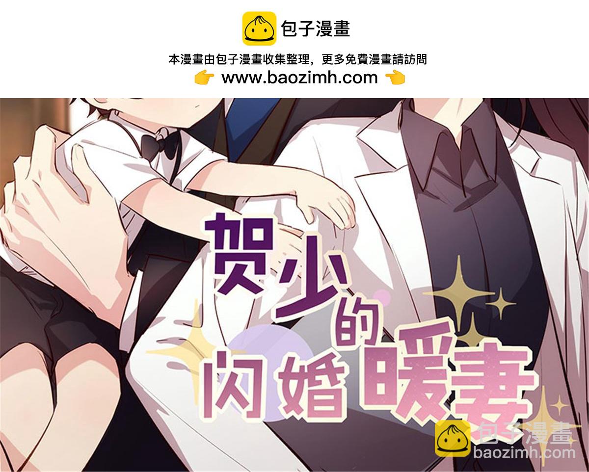 賀少的閃婚暖妻 - 完結篇 結束也是開始(1/2) - 2