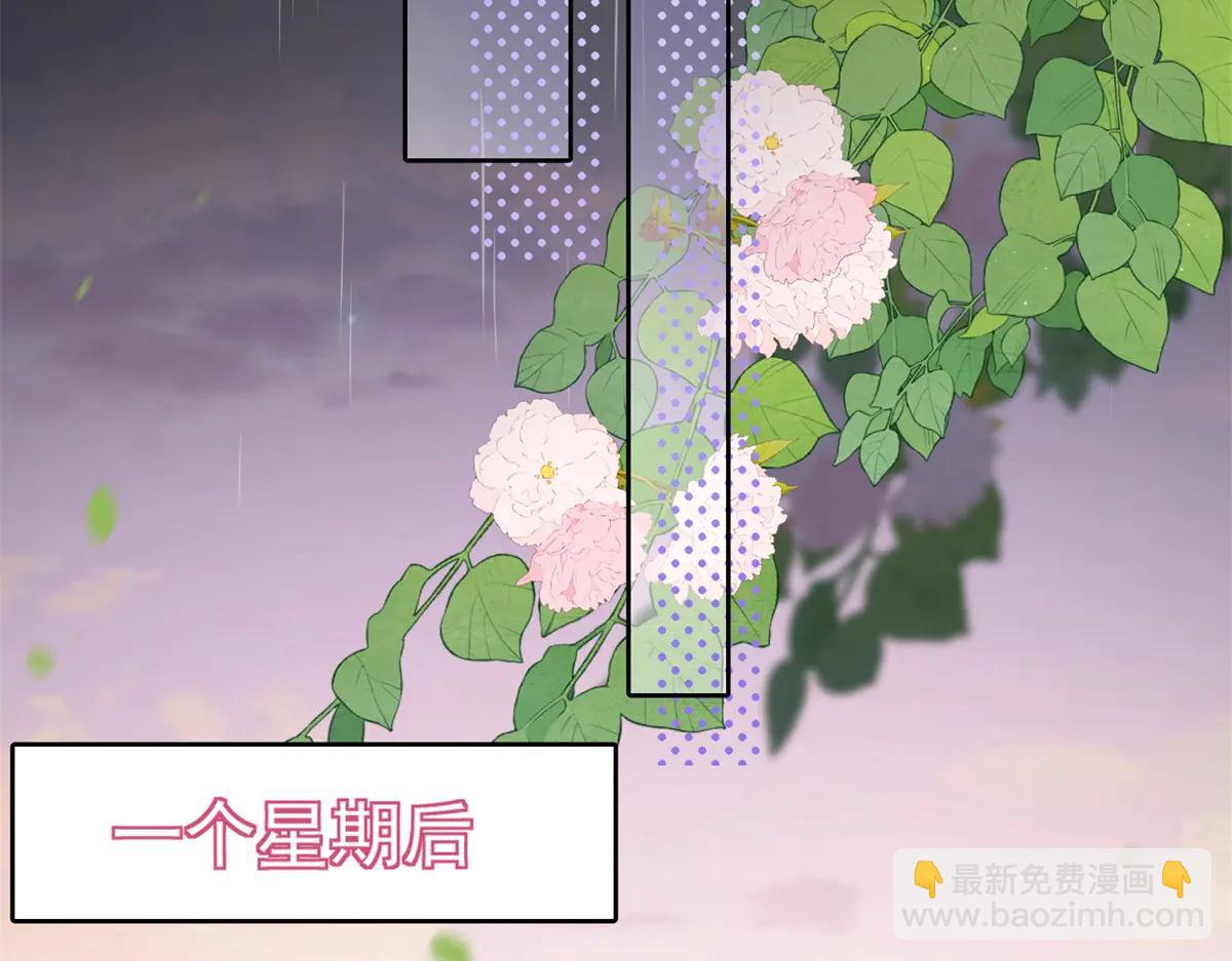 第40话 自恋狂的求救(1/4)-第41话