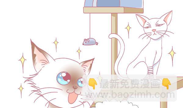 第1话 生病的嗨弟 1-第1话