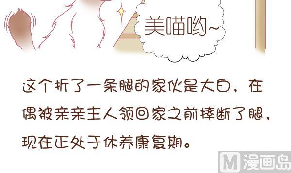 第1话 生病的嗨弟 1-第1话