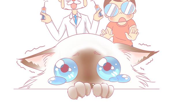 第1话 生病的嗨弟 1-第1话