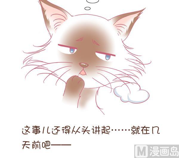 第1话 生病的嗨弟 1-第1话