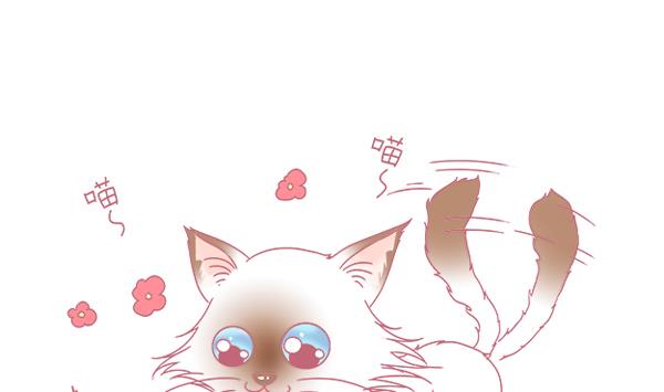 第1话 生病的嗨弟 1-第1话