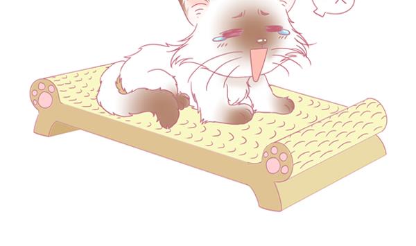 第1话 生病的嗨弟 1-第1话