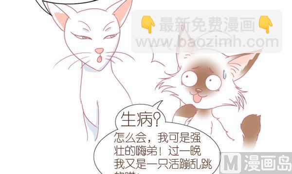 第1话 生病的嗨弟 1-第1话