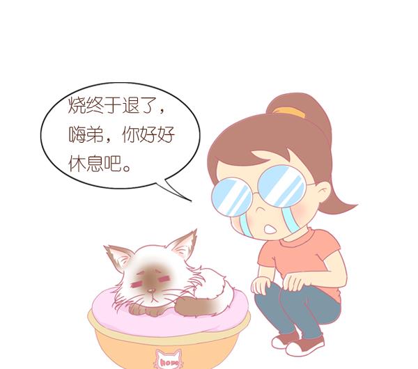 第1话 生病的嗨弟 1-第1话