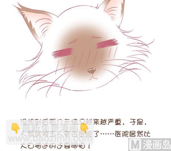 第1话 生病的嗨弟 1-第1话