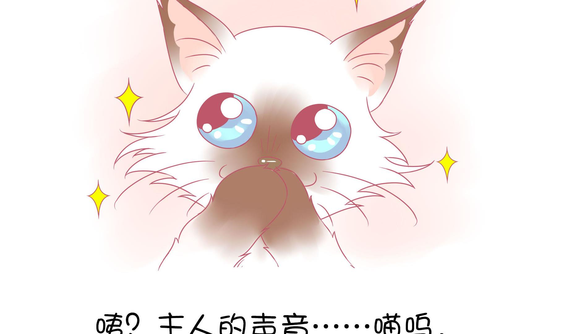 第11话 梦中还是现实-第11话