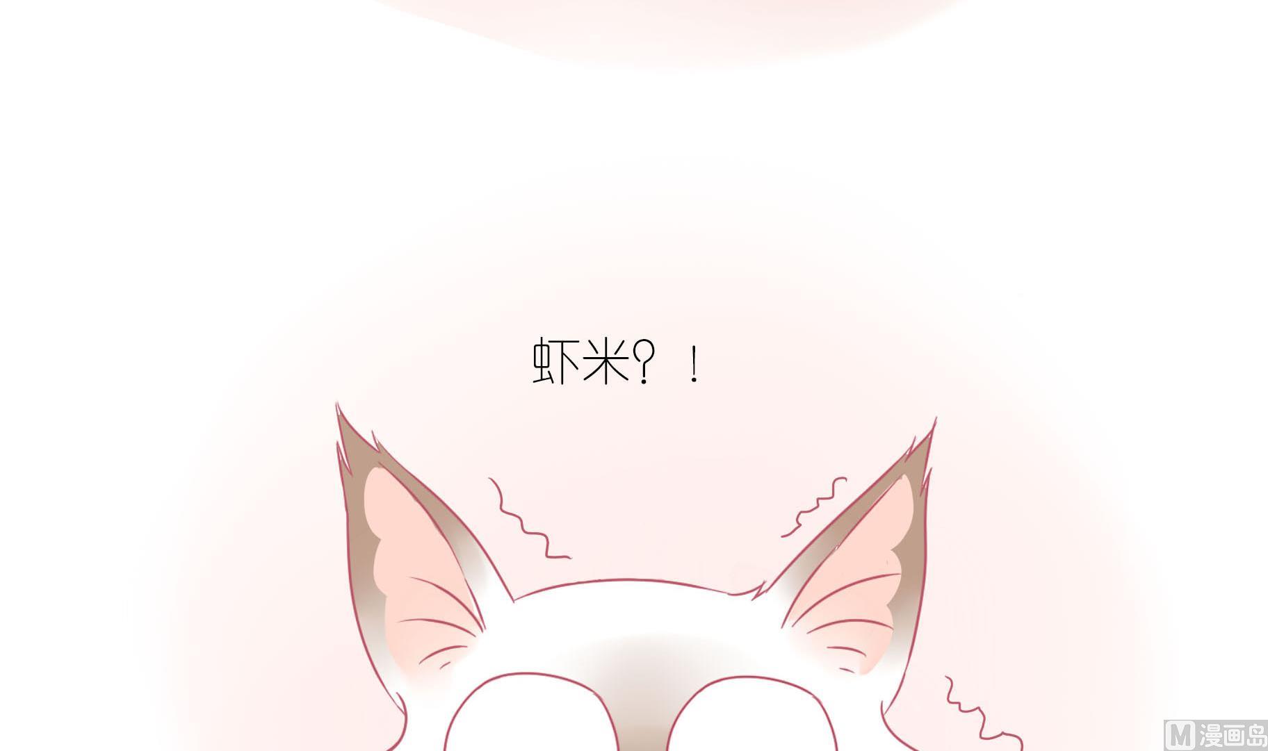 第11话 梦中还是现实-第11话