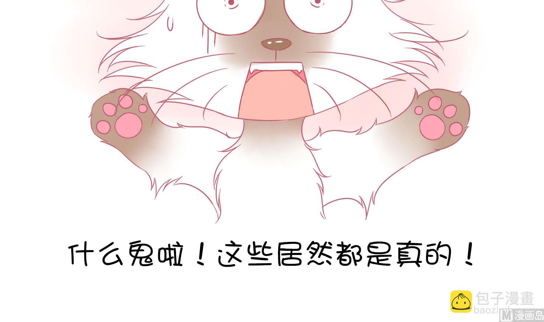 第11话 梦中还是现实-第11话