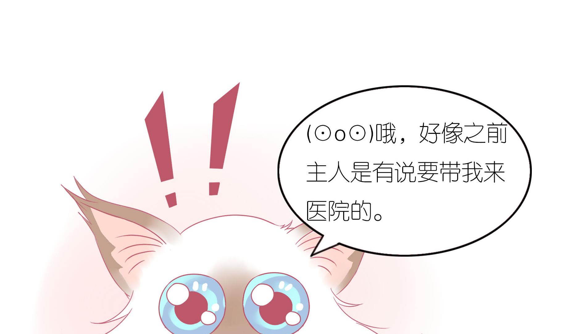 第11话 梦中还是现实-第11话