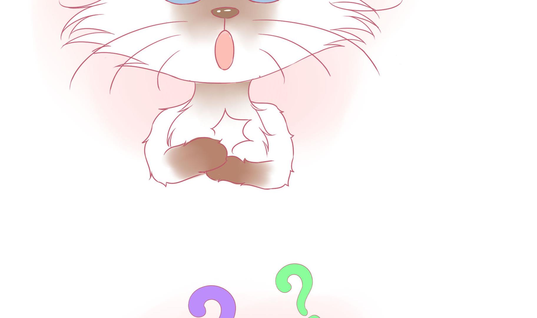 第11话 梦中还是现实-第11话