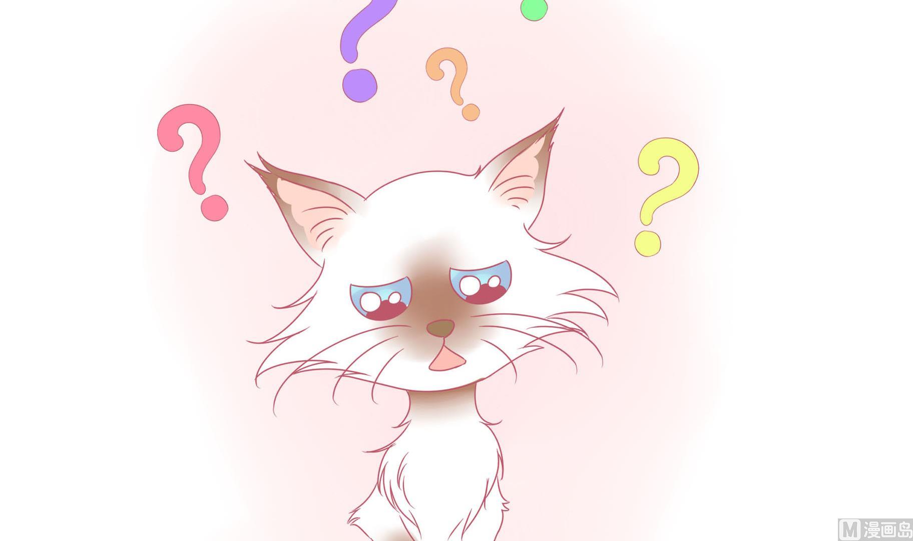 第11话 梦中还是现实-第11话