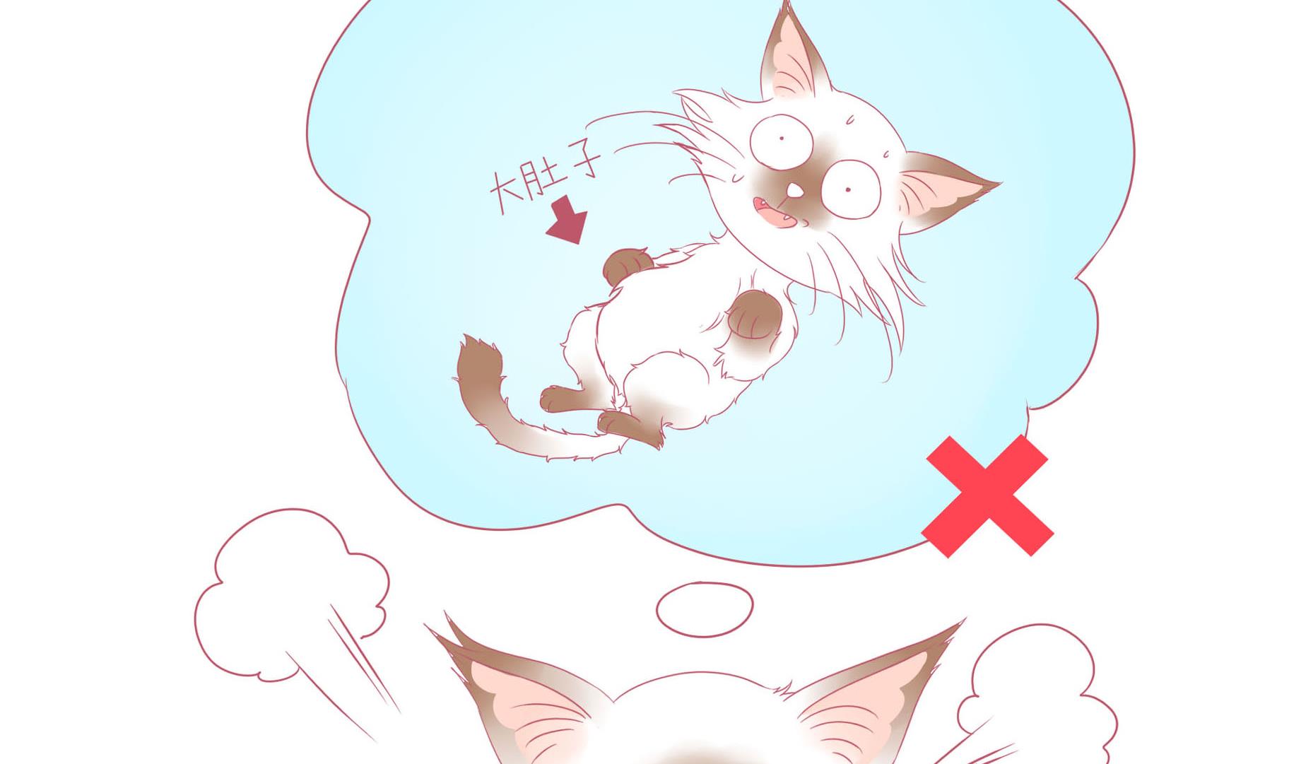 第11话 梦中还是现实-第11话