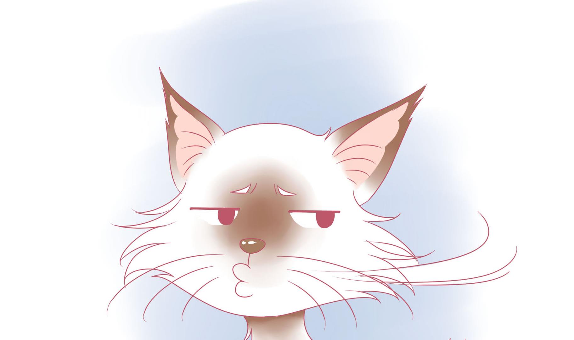 第11话 梦中还是现实-第11话