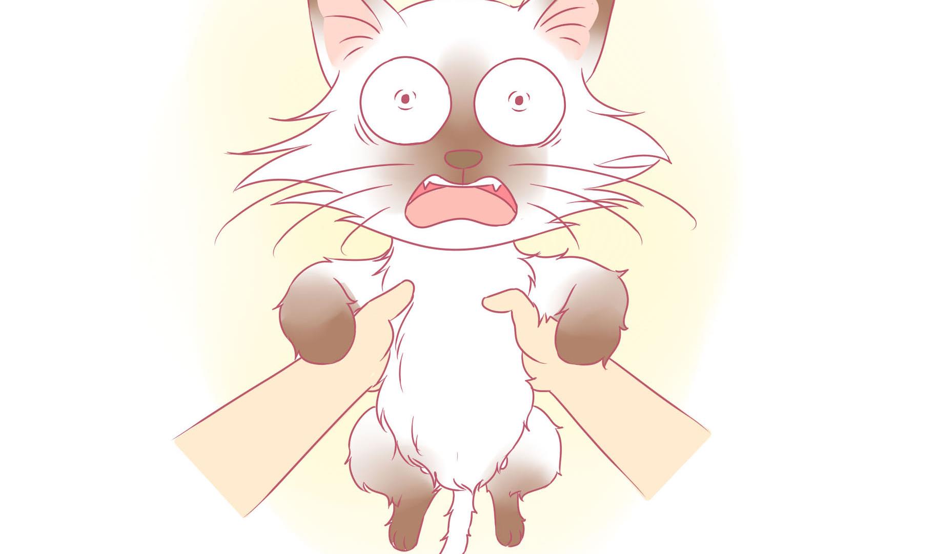 第13话 享受洗澡-第13话