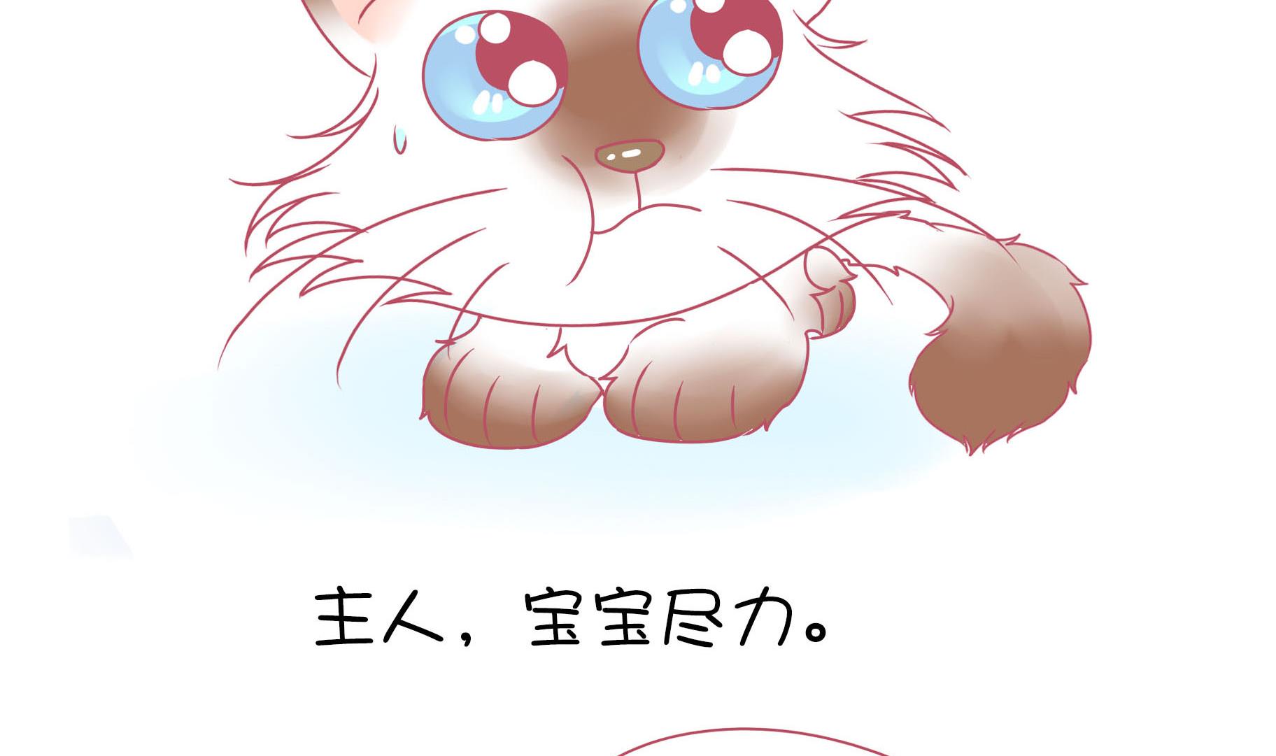 第15话 失落的嗨弟 2-第15话