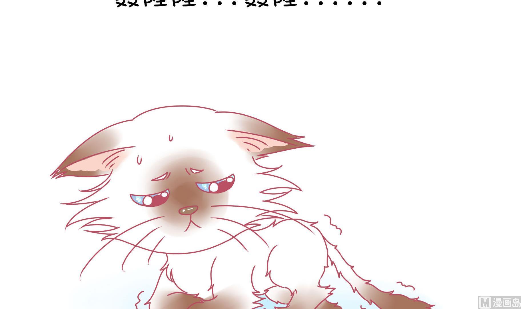 第15话 失落的嗨弟 2-第15话