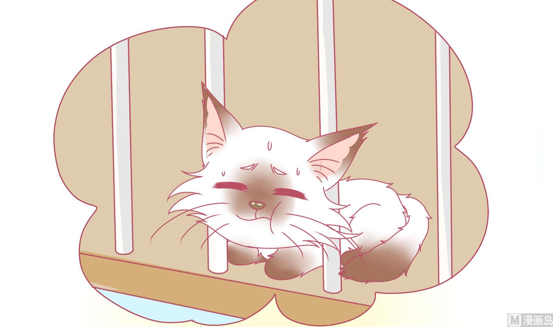 第15话 失落的嗨弟 2-第15话