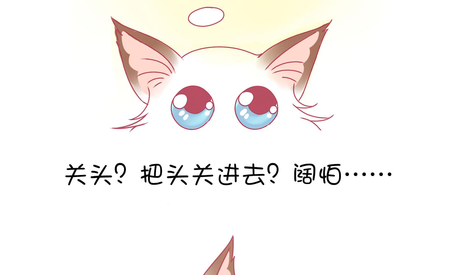 第15话 失落的嗨弟 2-第15话