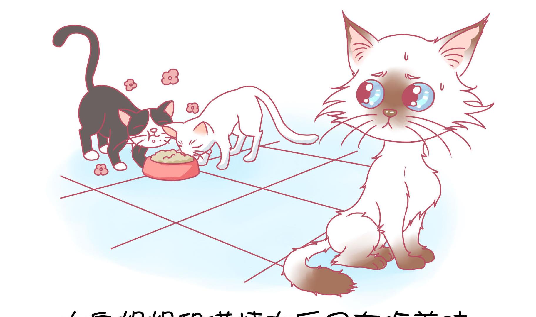 第15话 失落的嗨弟 2-第15话