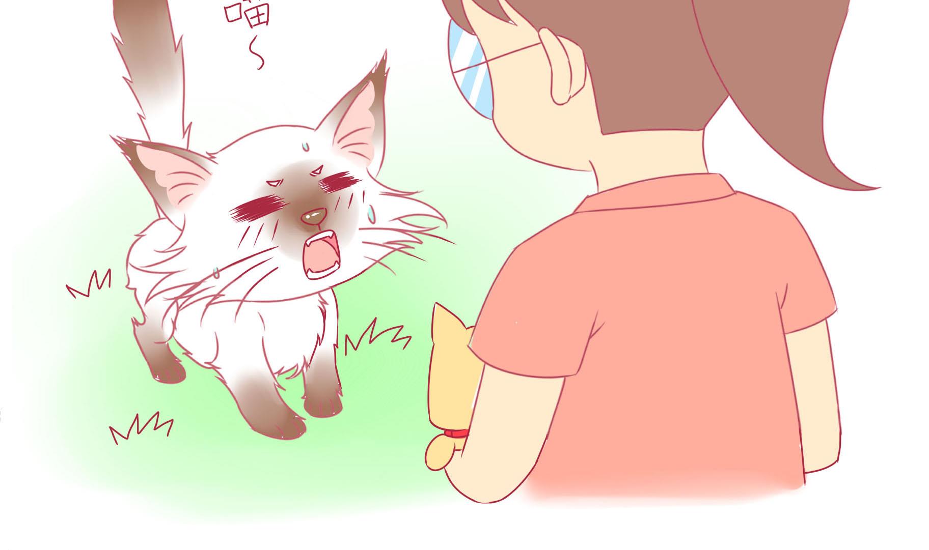 第17话 新伙伴豆沙 2-第17话