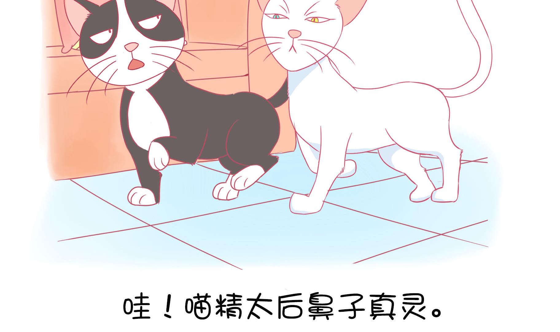 第17话 新伙伴豆沙 2-第17话