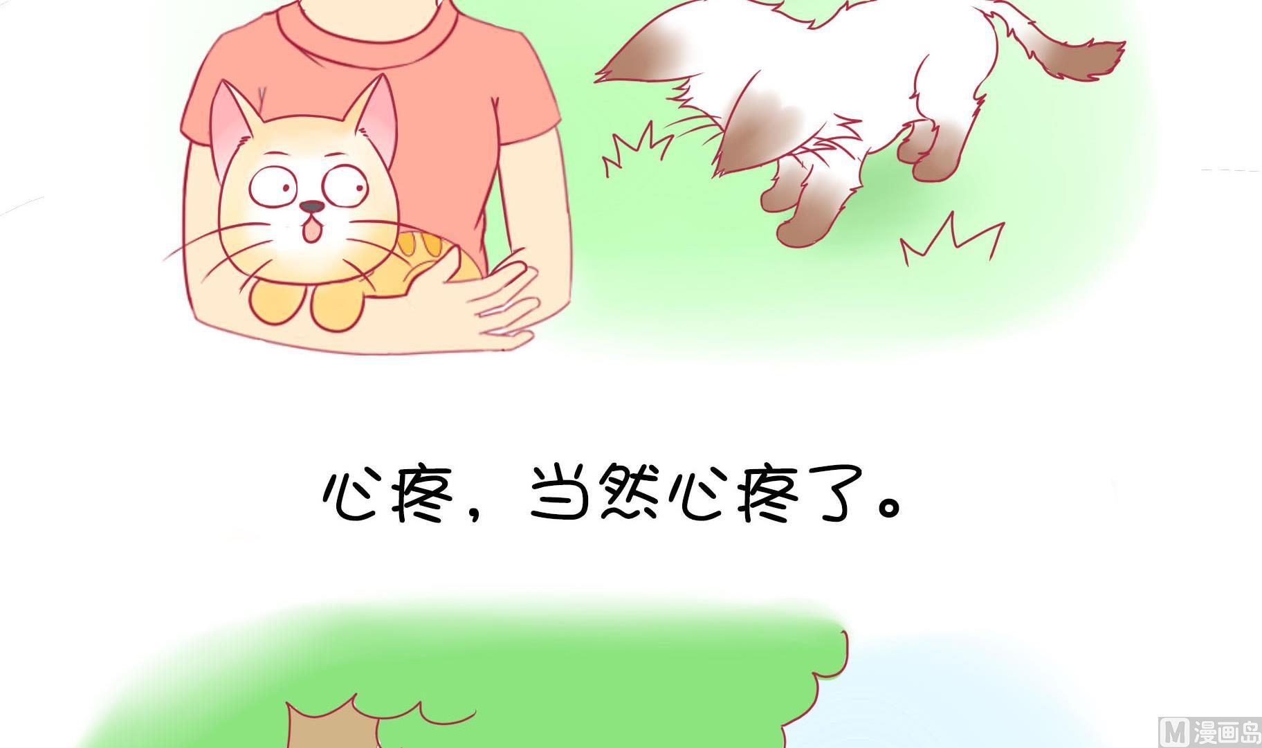 第17话 新伙伴豆沙 2-第17话