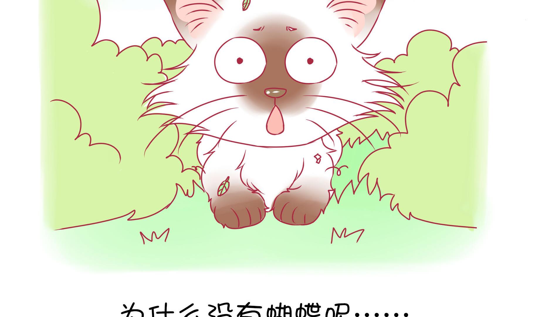 第17话 新伙伴豆沙 2-第17话