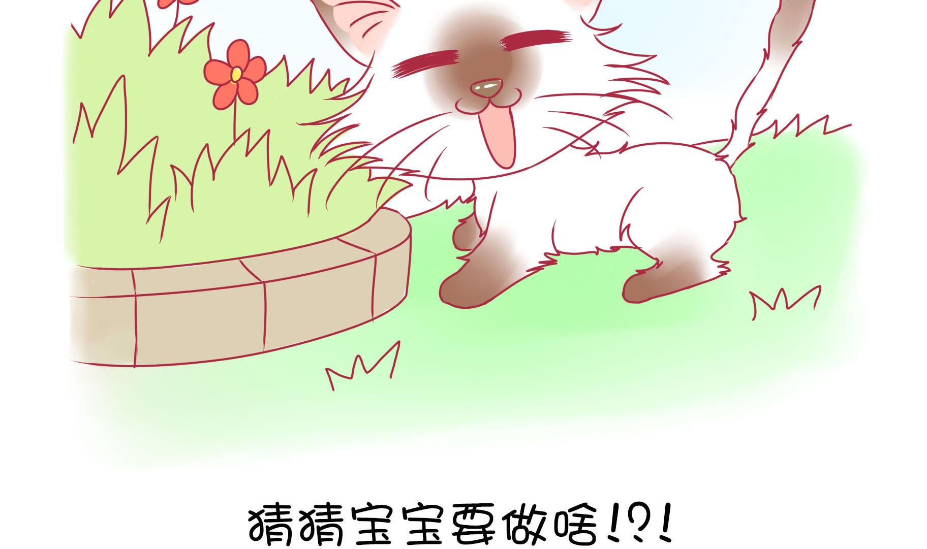 第17话 新伙伴豆沙 2-第17话