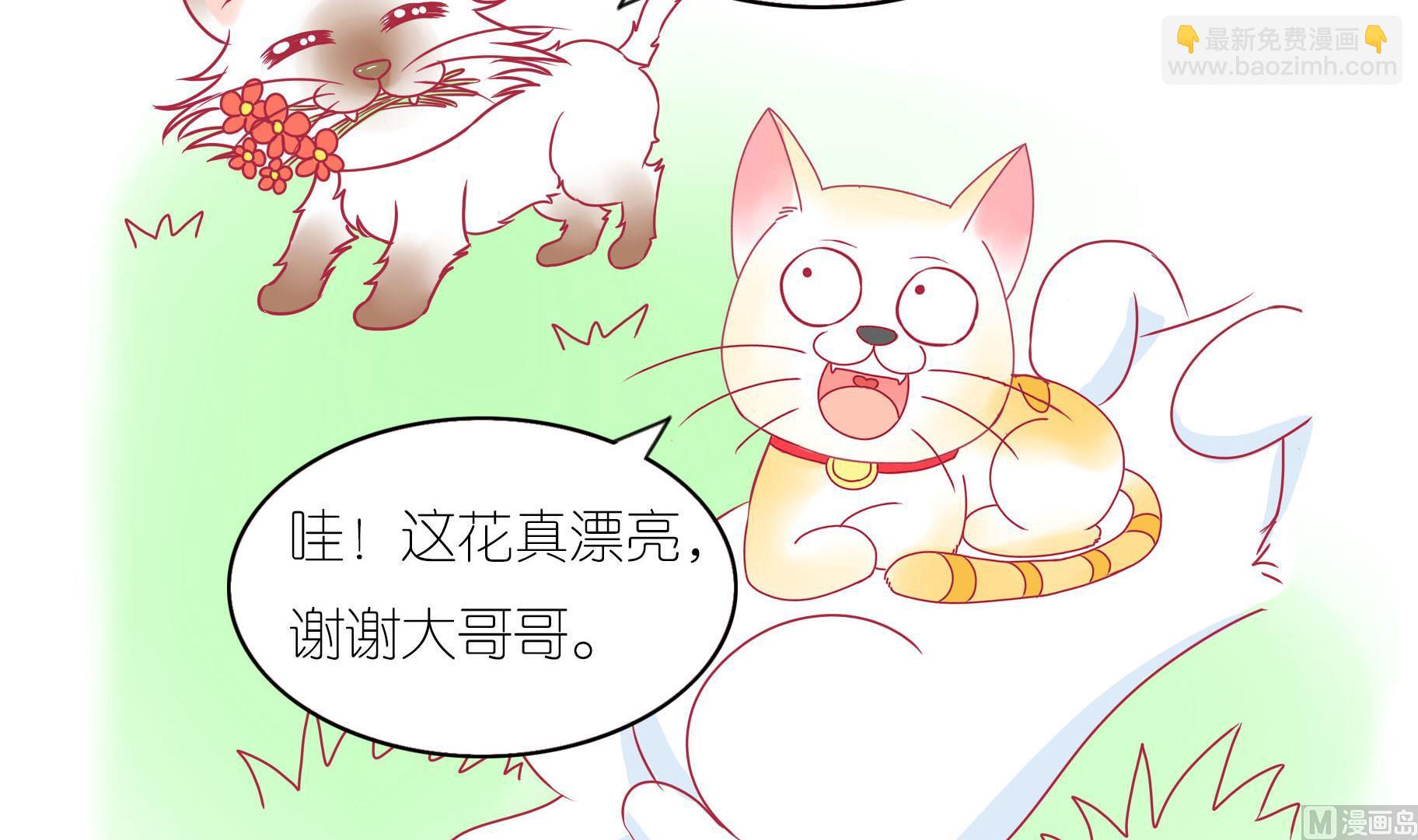 第17话 新伙伴豆沙 2-第17话