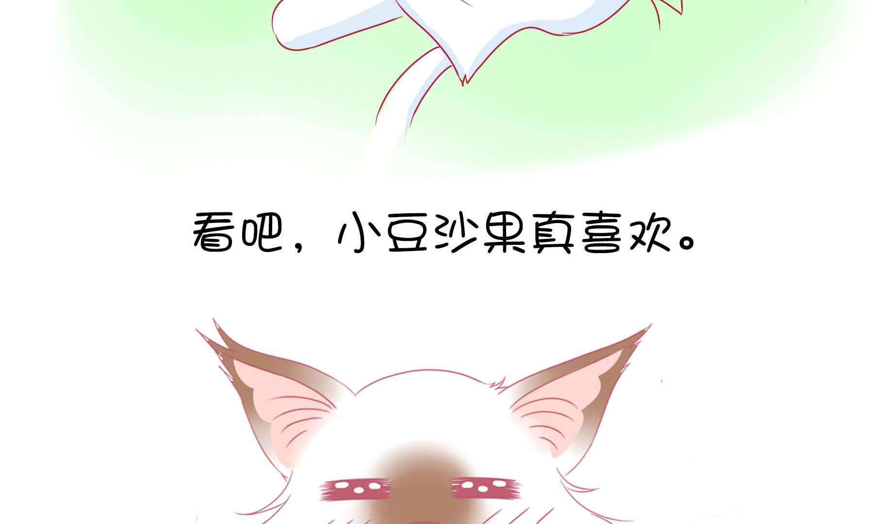 第17话 新伙伴豆沙 2-第17话