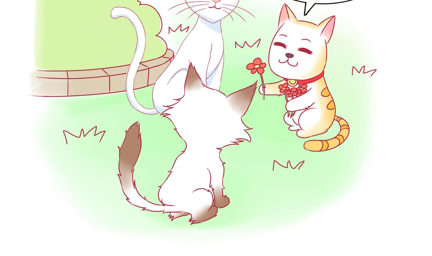 第17话 新伙伴豆沙 2-第17话