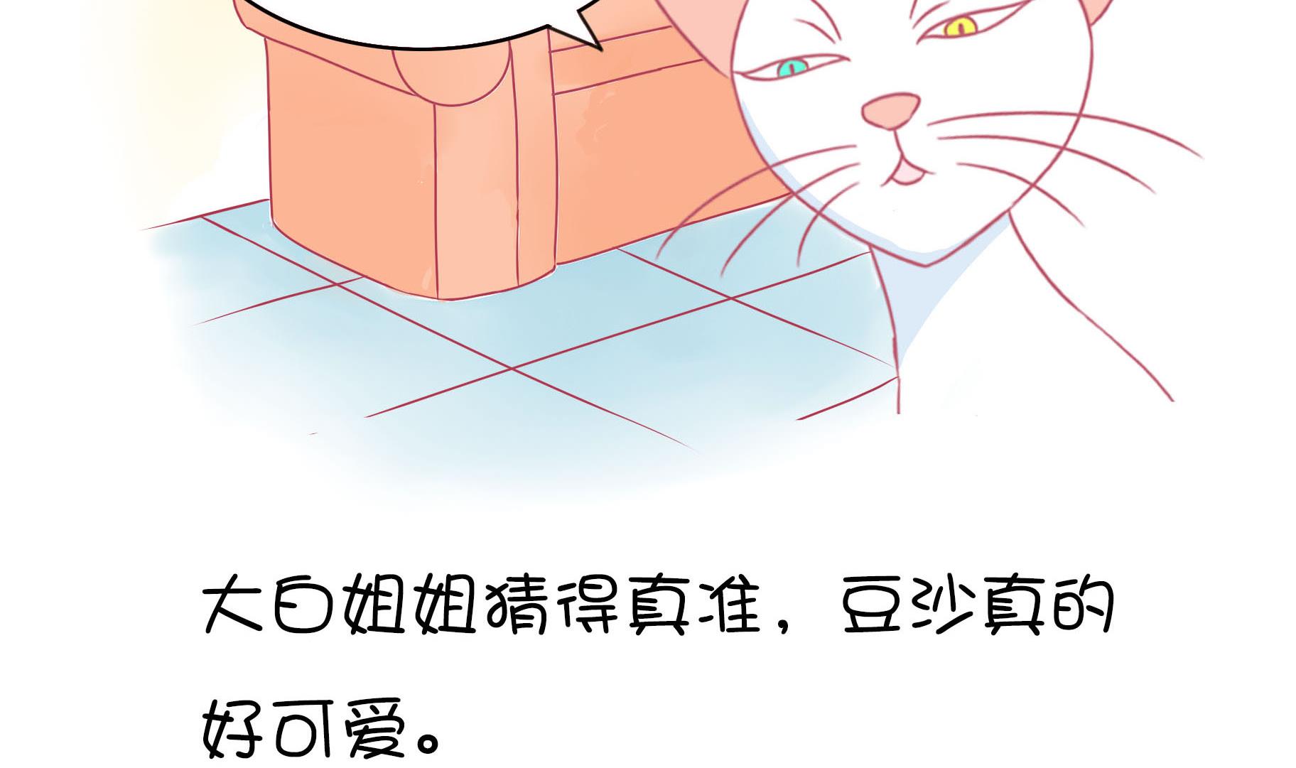 第17话 新伙伴豆沙 2-第17话