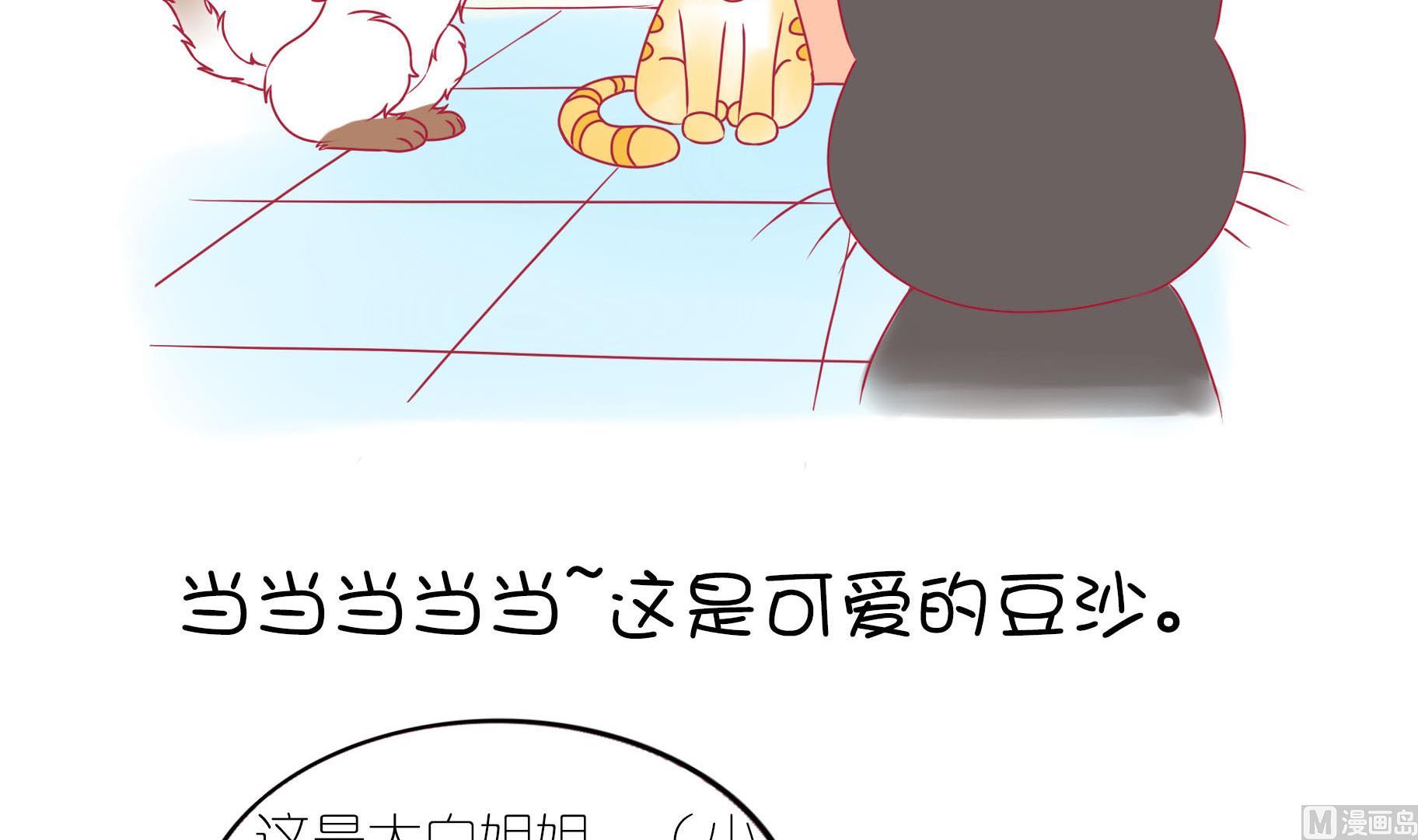 第17话 新伙伴豆沙 2-第17话