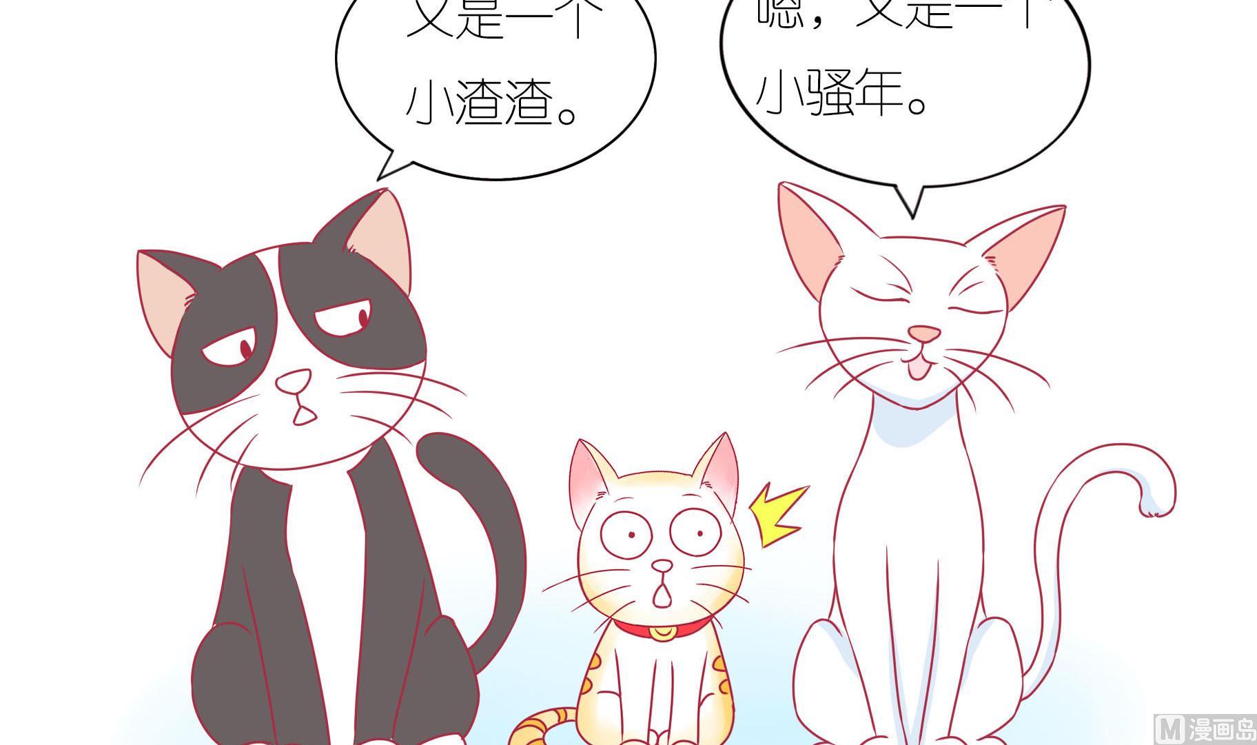 第17话 新伙伴豆沙 2-第17话