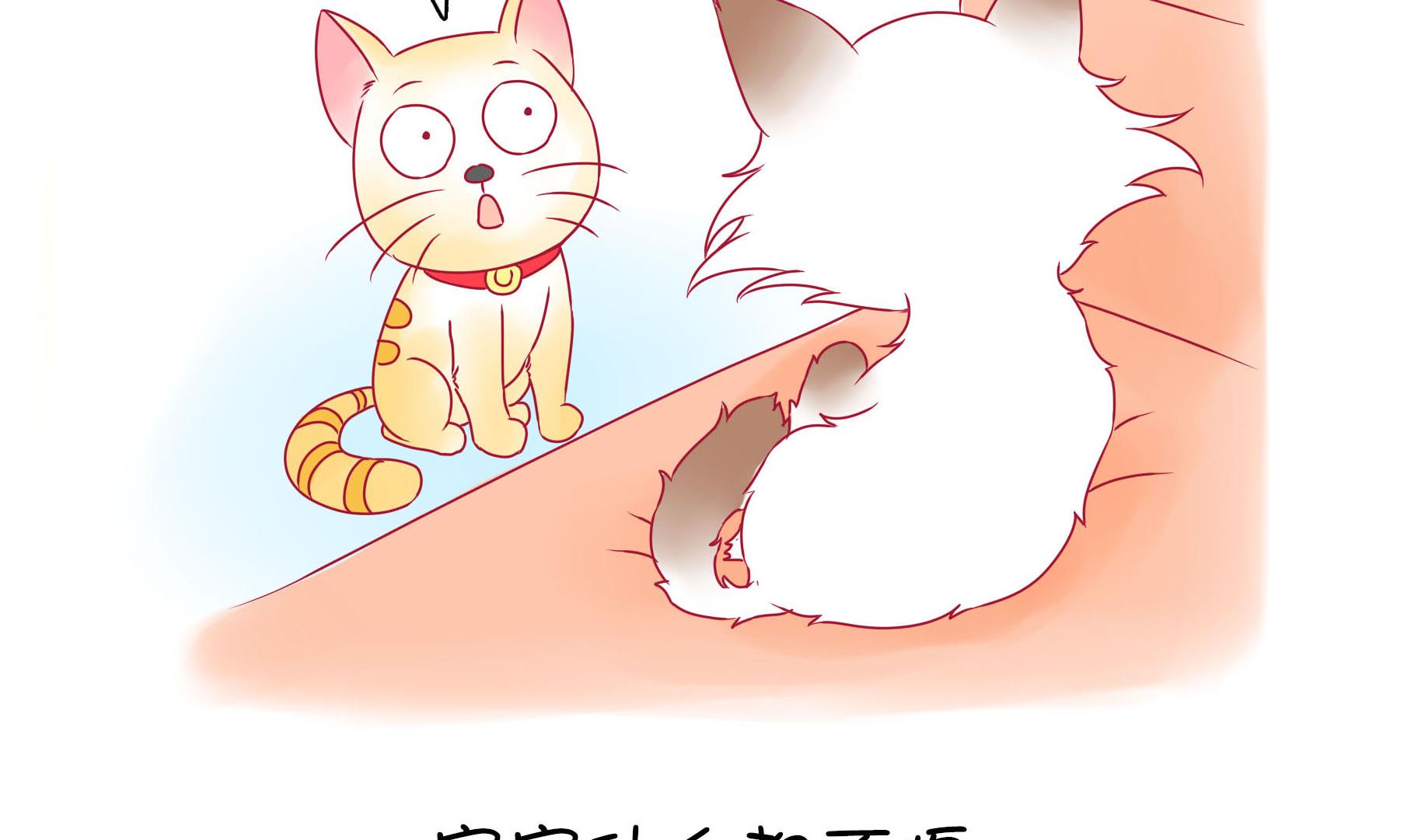 第19话 睡前故事 2-第19话