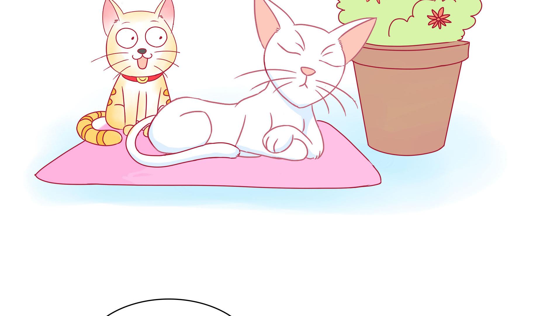 第19话 睡前故事 2-第19话